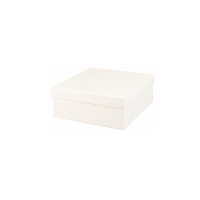 Boîte carton mat blanc 20 x 20 x 7cm