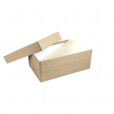 Boîte carton kraft naturel 25 x 15 x H 5cm