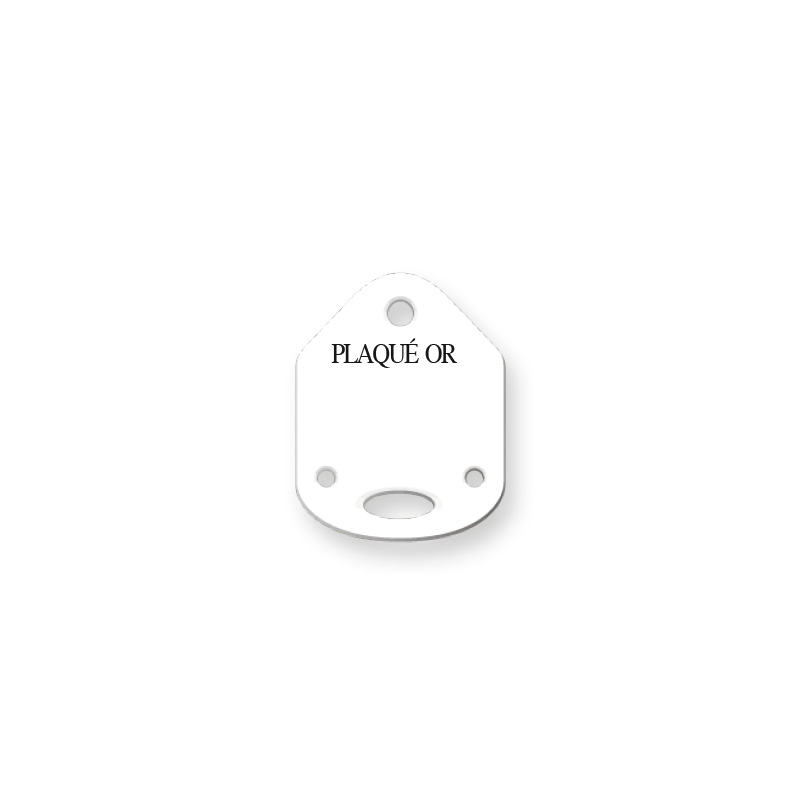 Etiquettes plastique d'étalage boucles d'oreilles/chaîne/pendentif - Plaqué or