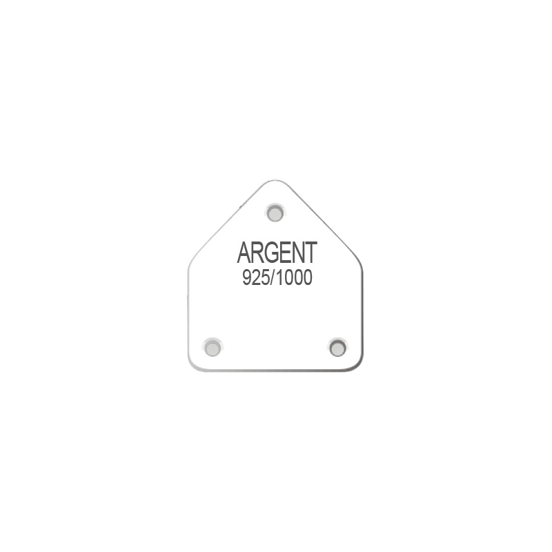 Etiquettes plastique en planches pour boucles d\\\'oreilles - Argent 925/1000