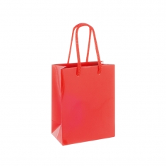 Silver coloured gloss paper boutique bags, 8.1 x 3.3 x 10.8 cm H, 190 g