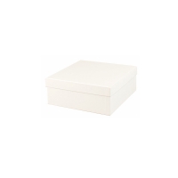 Matt white card box 20 x 20 x 5cm