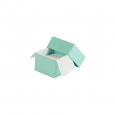 Mint green satin finish ring/universal box
