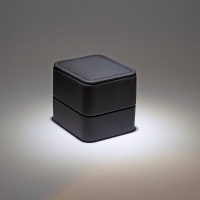 Imitation kidskin ring boxes with top stitching and interior LED light