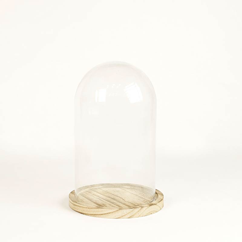 Glass display bell jar, wooden base 21cm tall, diam. 14 cm