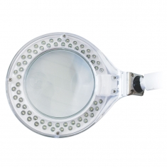 Bifocal magnifier lamp