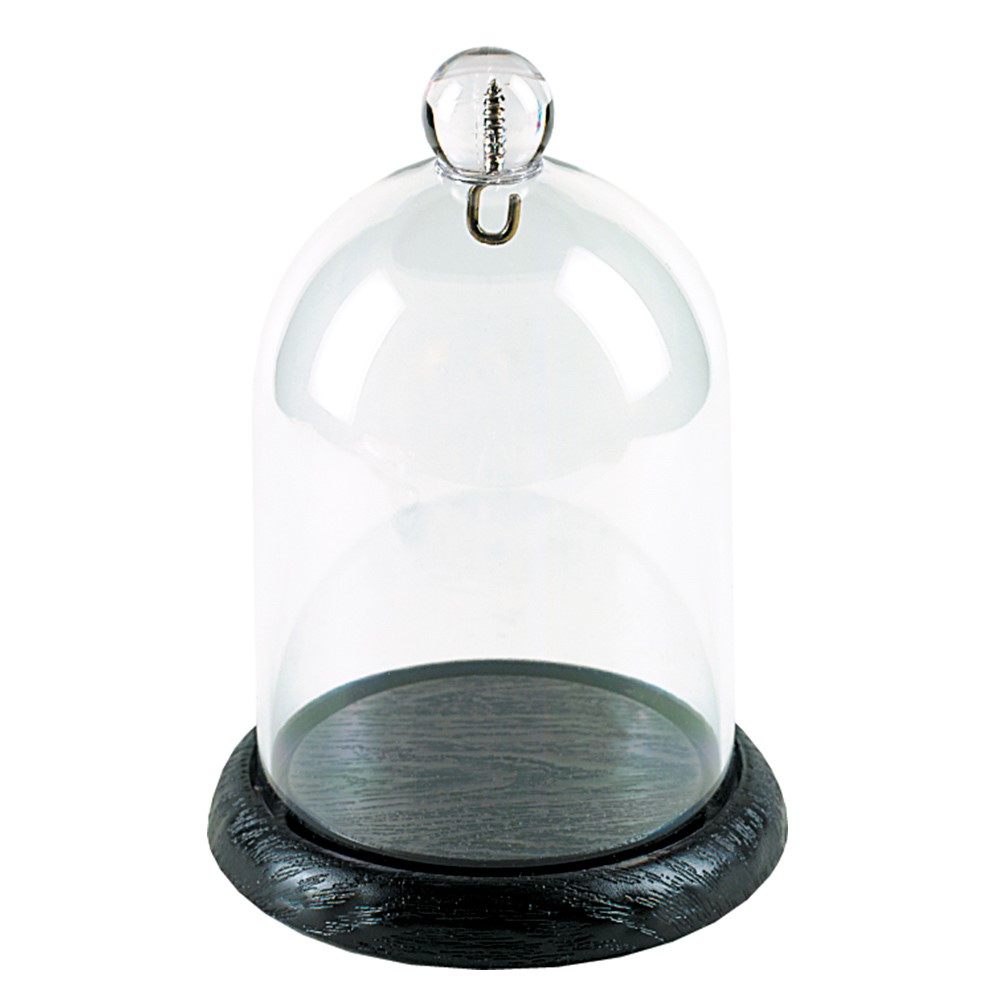 Bergeon dust cover dome